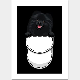 Pomeranian Dog Posters and Art